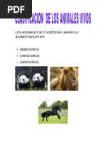 Presentacion Los Animales