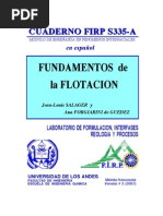 Fundamentos de La Flotacion