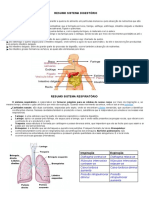 Resumo e Atividades Sistema Digestivo e Respiratório