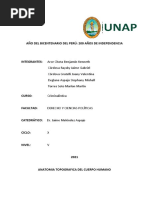 Criminalistica Anatomia Topografica Grupal