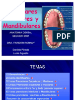 Presentacion Premolares Maxilares y Mandibulares