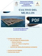 (X) 2.CULTIVO MEJILLON-NAVALES