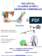 5.canal - Palancas, Clasificacion y Ejemplos Corporales