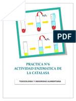 Actividad Enzimatica