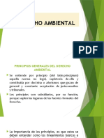 Principios Generales Del Derecho Ambiental