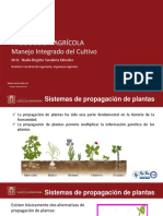 Presentación 4. Producción Agrícola