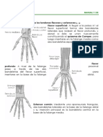 Manual Residente de Traumatologia-28-47