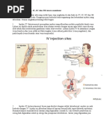 Perbedaan Injeksi IV Ic SC Dan Im Secara Mendasar