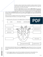 The Heart LA Worksheet