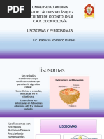 Lisosomas