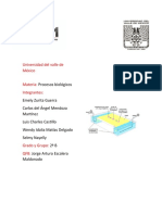 PRACTICA 5 ELECTROFORESIS Oooo