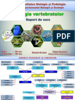 Curs Zoologia Vertebratelor - Proiect Nou