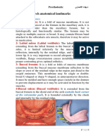 Mandibular Arch Anatomical Landmarks: I. Limiting Structures