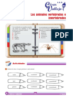 CyA - 1°grado - SEM6 - Los Animales Vertebrados e Invertebrados