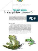 El Porqué de Su Conservación: Ranas y Sapos