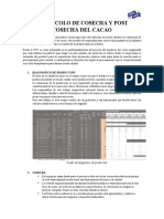 Protocolo de Cosecha y Post Cosecha Del Cacao