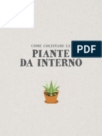 Piante Da Interno