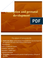 Conception and Prenatal Development