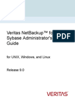 Veritas Netbackup™ For Sybase Administrator'S Guide: For Unix, Windows, and Linux