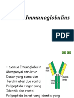 Imunoglobulin-2