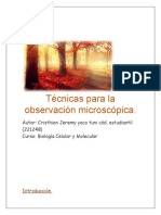 Informe Técnicas para La Observación Microscópica