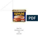 Spam - Brand Messaging For New Target Audience