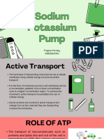 Sodium Potassium Pump Tutorial 20BOE10050