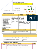 CIENCIA Elemntos Vivos y No Vivos