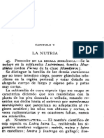 La Nutria: Capitulo V