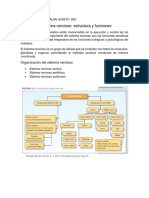 El Sistema Nervioso Estructura y Funciones