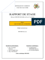 Rapport Stage Dora