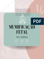 MUMIFICAÇÃO FETAL EM CADELAS - Post