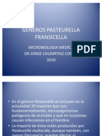 Pasteurella