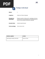 Ti-M2 Analis de Práctica Integrada