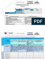 5° Programacion Anual-Ct 2022