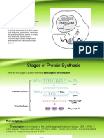 Protein Synthesis