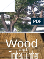 Wood Report