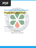 Summer Internship Report: Preparation of Biofuel