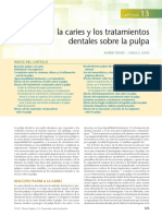 13 Efecto de La Caries y Tratamientos Dentales Sobre Pulpa