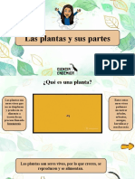 Las Plant As Ys Us Partes