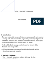 Chapter One - Borehole Environment