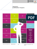 Recent Advances in Methylation: A Guide For Selecting Methylation Reagents