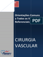 Orientacoes Comuns A Todos VR Vascular