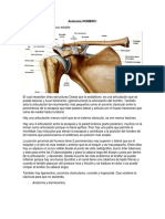 Ortopedia - Extremidades Superiores