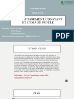 PFA L'amortissement Constant Et L'image Fidèle