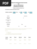 Formato Horario de Practica