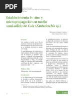 Establecimiento in Vitro y Micropropagación en Medio Semi-Sólido de Cala (Zantedeschia SP.)