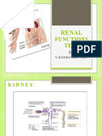 Renal Function Test