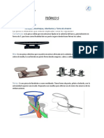 Curso Timonel 5