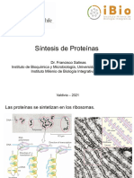 Sintesis Proteinas FS3